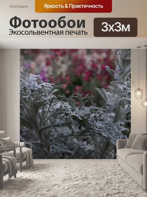 Фотообои Серые цветы