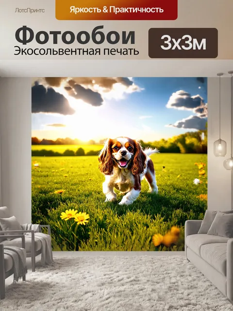 Фотообои веселая собака кавалер кинг чарльз спаниель