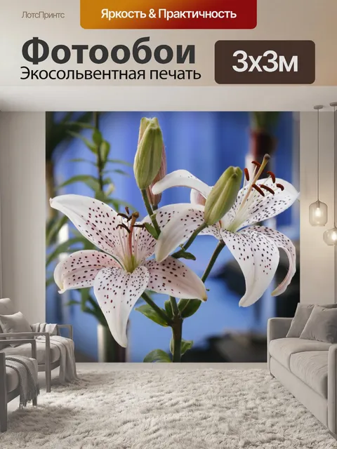 Фотообои Белая лилия