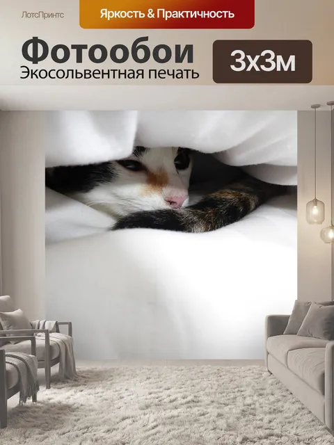 Фотообои Котенок