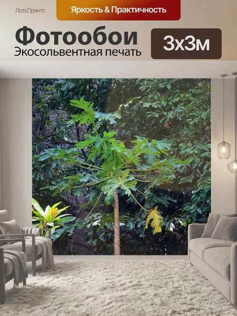 Фотообои папайя дерево