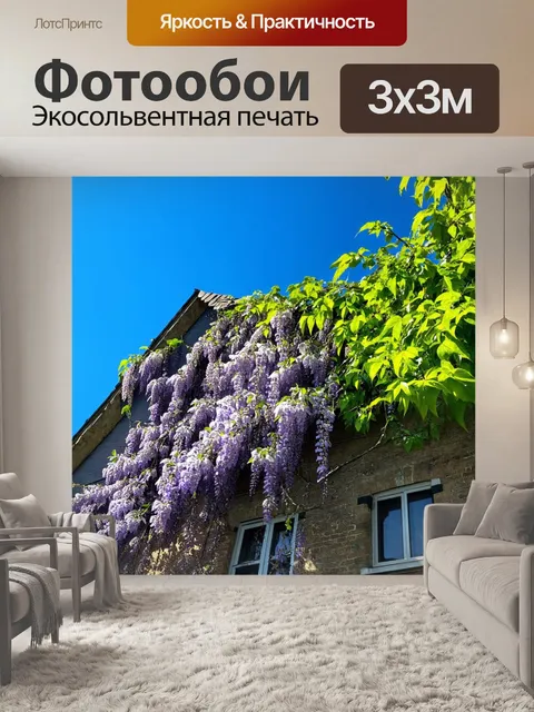 Фотообои глициния, обвивающая старый дом, покрытый черепицей, с ярким голубым небом и пышными зелеными листьями вокруг