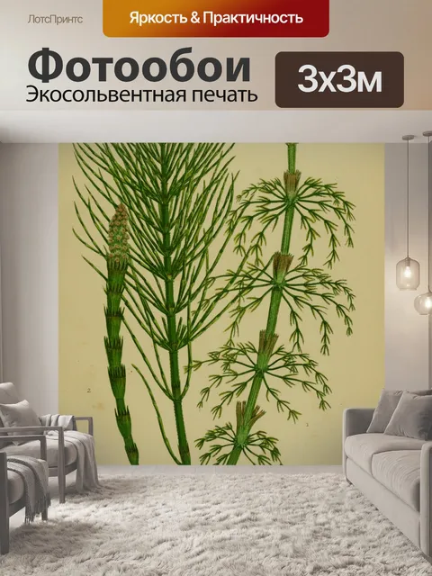 Фотообои Винтажная трава хвоща