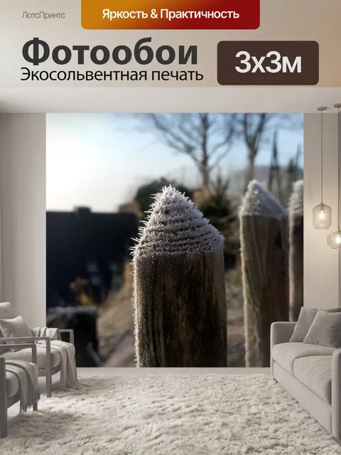 Фотообои Мороз