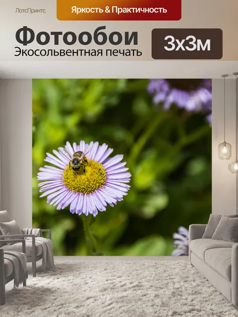 Фотообои Новоанглийская астра с пчелой