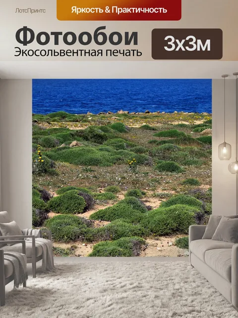 Фотообои Морской берег