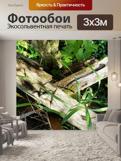 Фотообои Загородный забор в тени