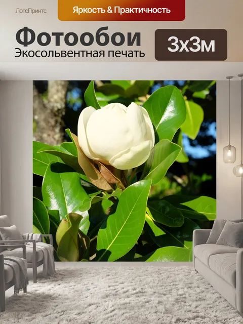 Фотообои Цветы