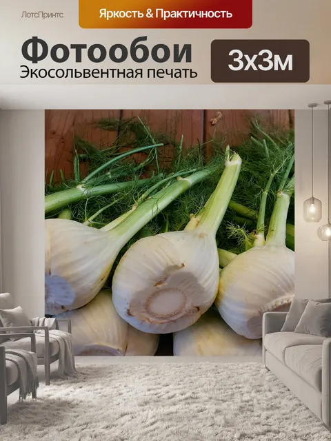 Фотообои Свежий урожай фенхеля с фермы