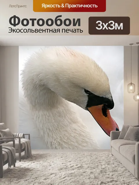 Фотообои Лебедь