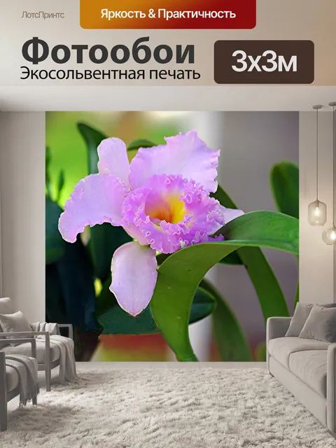 Фотообои Яркий цветной цветок
