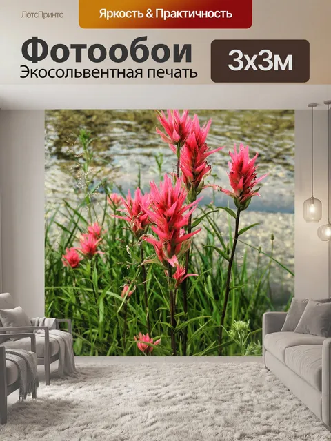 Фотообои Река