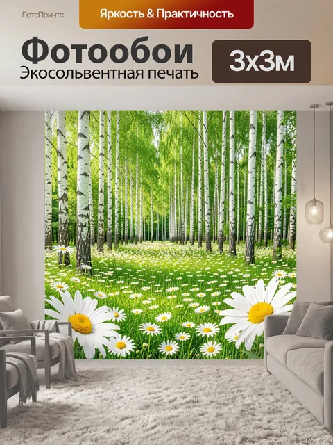 Фотообои Берёзовая роща с ромашками