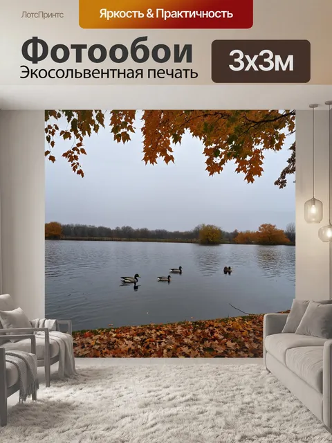 Фотообои осень небо становится серым