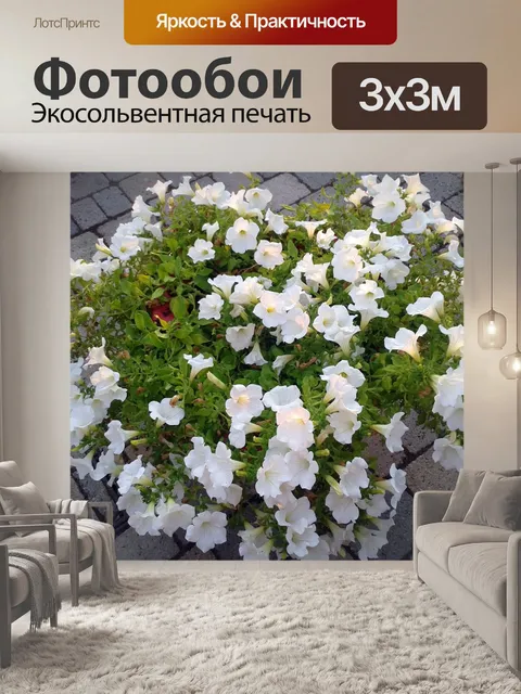 Фотообои Цветы
