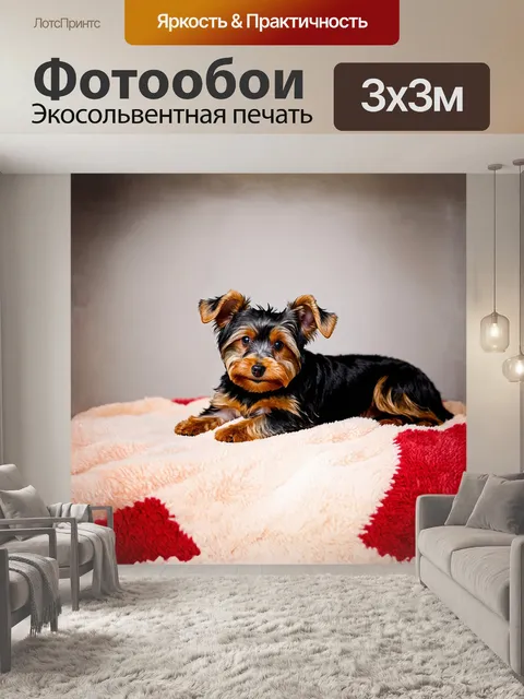 Фотообои плюшевый йоркширский терьер, уютно устроившийся на мягком пледе с яркими узорами