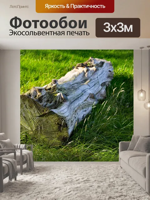 Фотообои Сухой ствол дерева на траве
