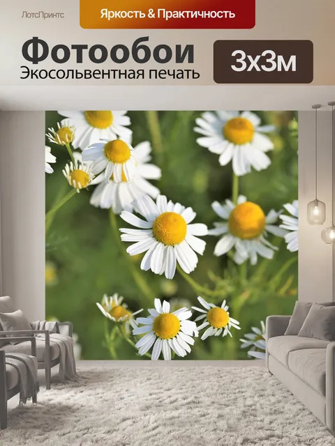 Фотообои Ромашка