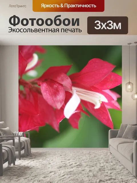 Фотообои Коста-Рика Цветы