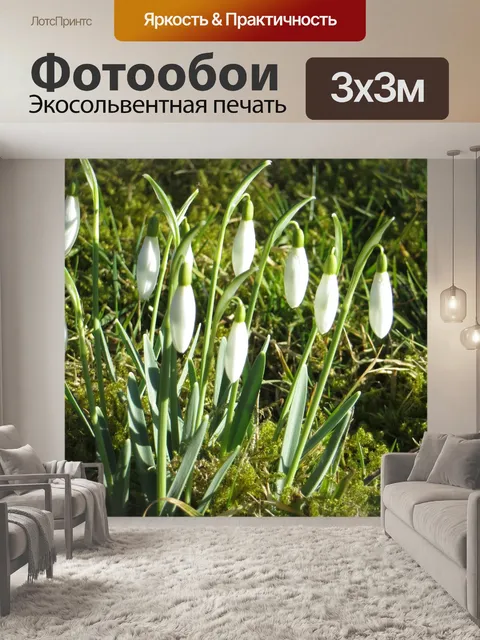 Фотообои Проснувшись подснежники