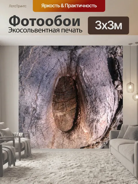 Фотообои отверстие в дереве