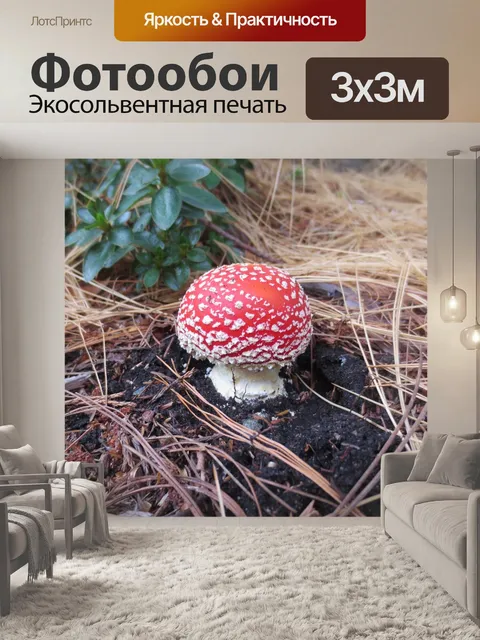 Фотообои Поганка