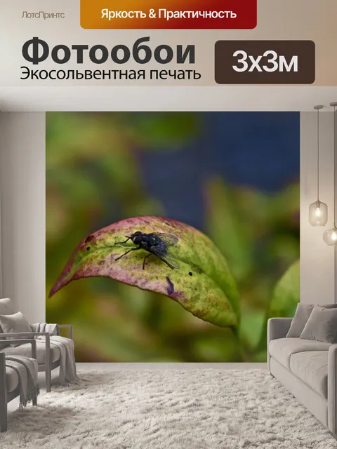 Фотообои Насекомые
