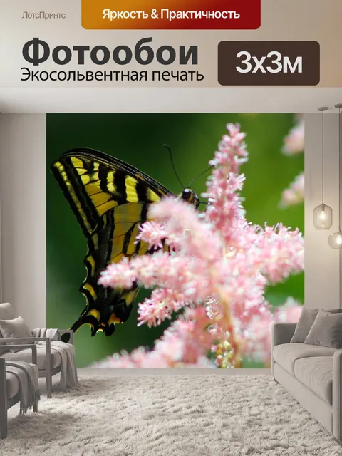 Фотообои Бабочка
