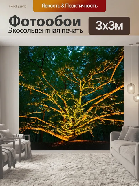 Фотообои лес с удивительными формами ветвей, просвечивающими сквозь свет