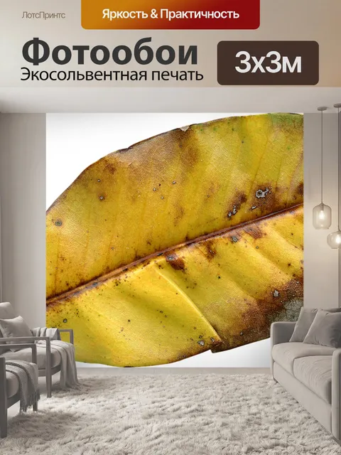 Фотообои Лист