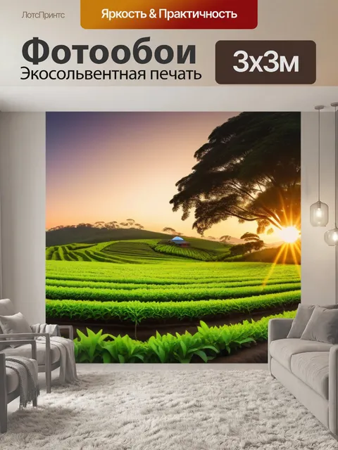 Фотообои кофейная ферма на закате