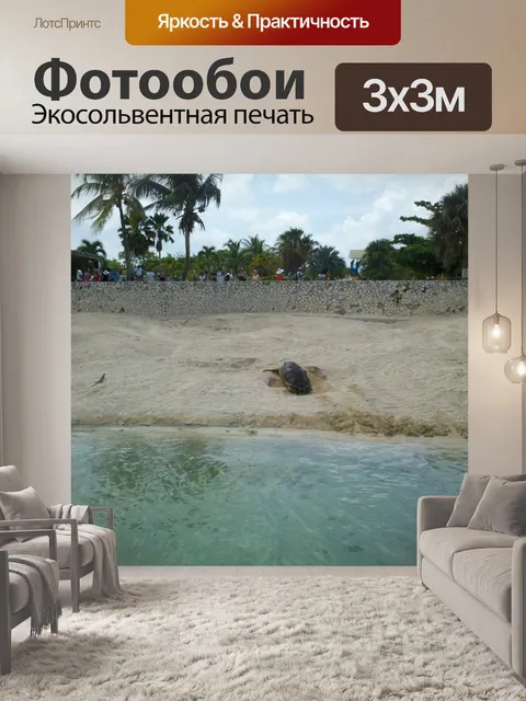 Фотообои Каймановы острова Turtle Farm