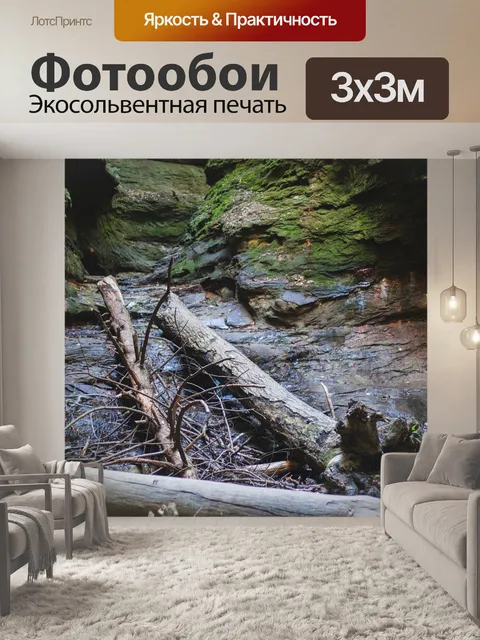 Фотообои Лес