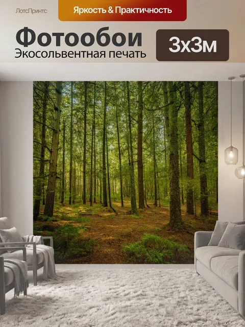 Фотообои спокойное рандеву в лесу, стволы деревьев создают уют
