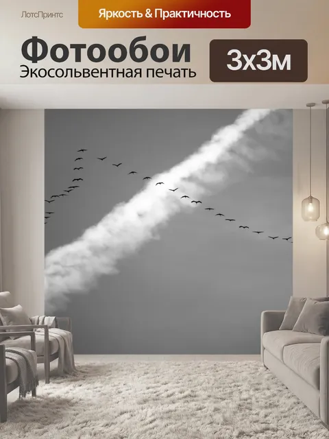 Фотообои Перелетные птицы