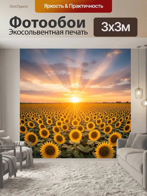 Фотообои Поле подсолнухов на закате
