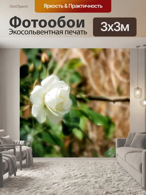 Фотообои Розовый