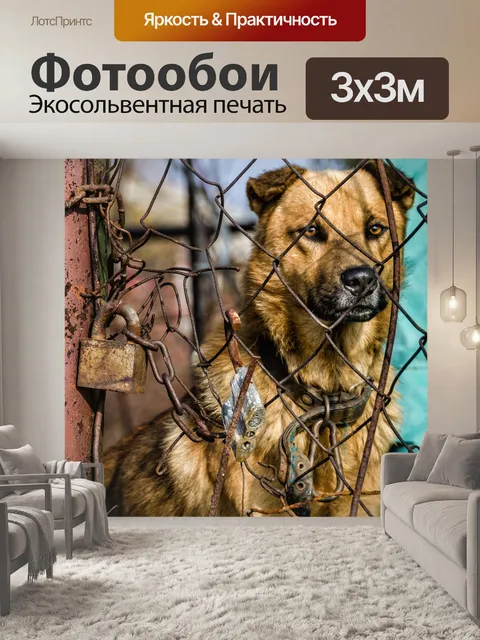 Фотообои Pets