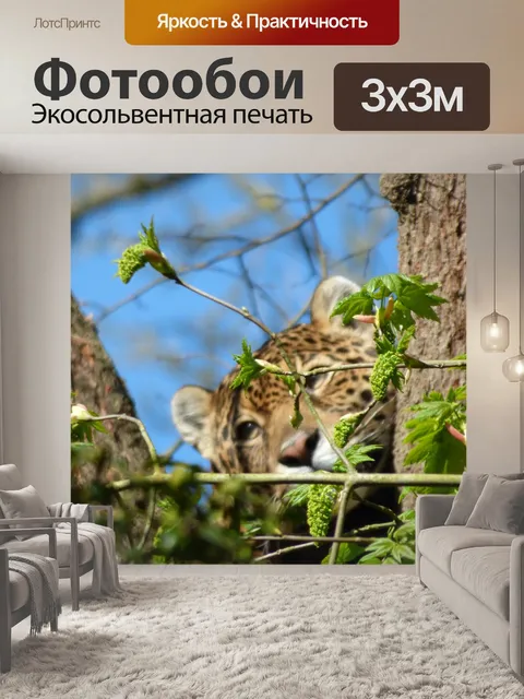 Фотообои Ягуар