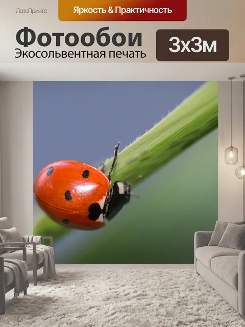 Фотообои Божья коровка
