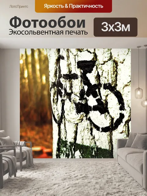 Фотообои Велосипед