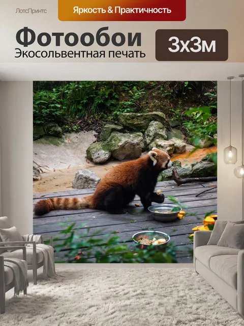 Фотообои Животное