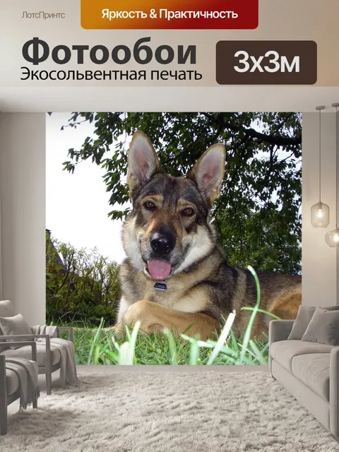 Фотообои Чехословацкий