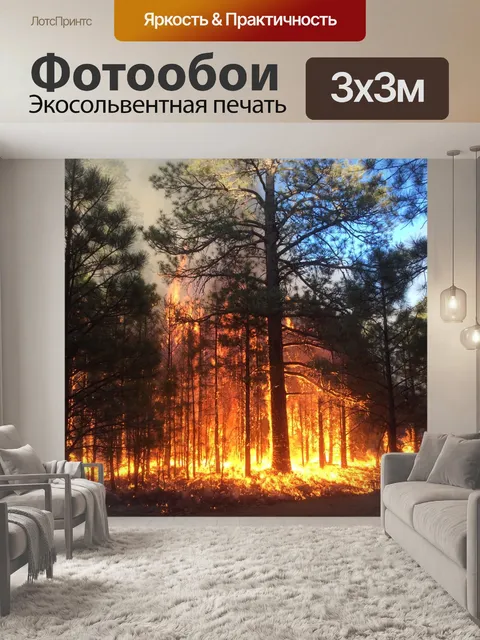 Фотообои Лесной пожар