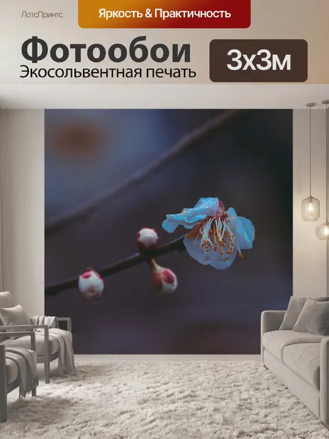 Фотообои Китайский стиль