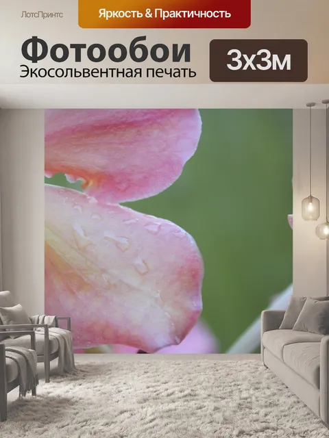 Фотообои Orchid лепесток