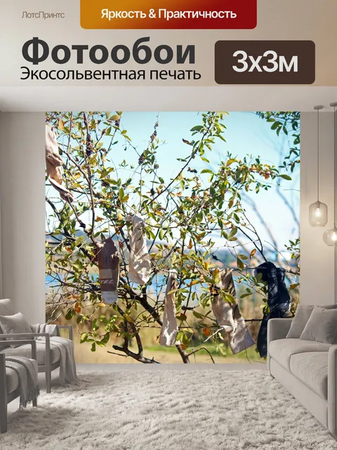 Фотообои носки висели на дереве
