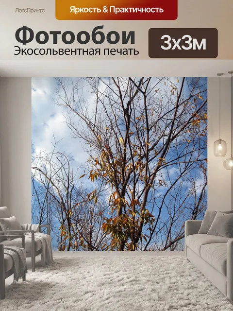 Фотообои голое дерево против неба