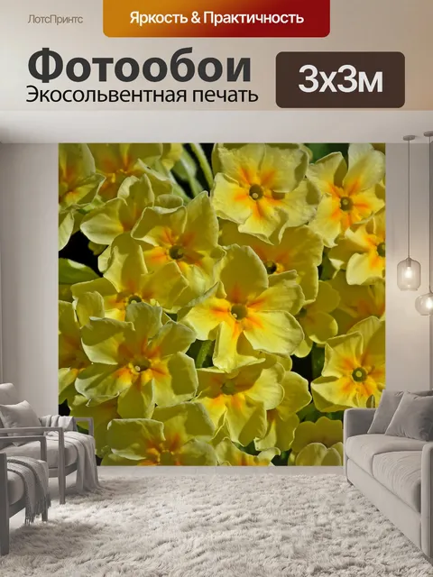Фотообои Первоцветы