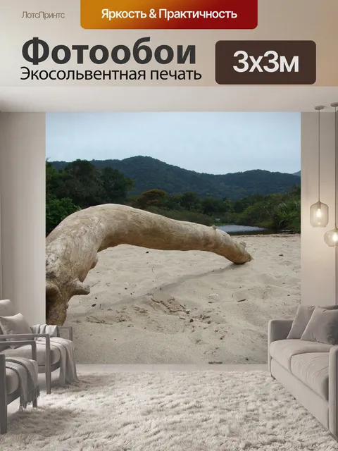 Фотообои Ствол